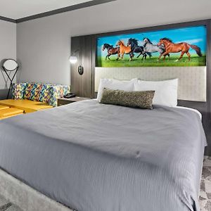 Big Country Hotel & Suites, Surestay Collection By BW